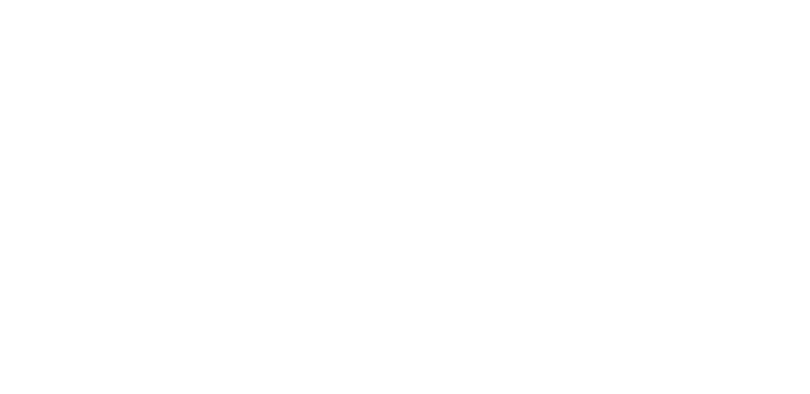 Ninja Studios